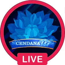 CENDANA777 - Game Bingo Seru yang Menggembirakan